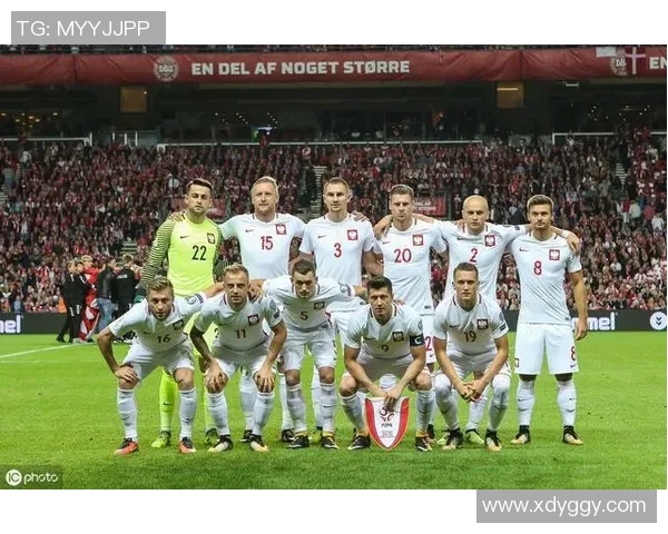 日本与波兰比赛胜负赔率分析及预测走势解析