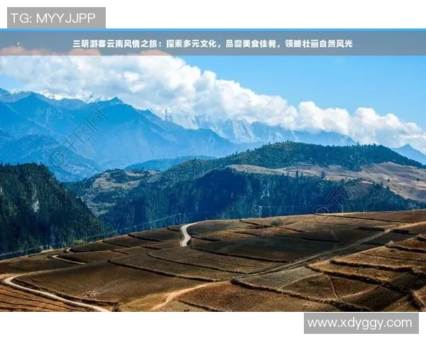 探索里瓦的魅力之旅：文化美食与自然风光的完美结合