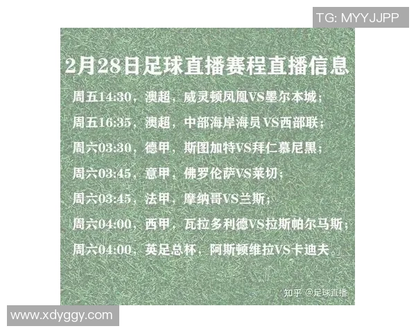 今日NBA赛事直播视频精彩回放与赛程分析全在这里不容错过