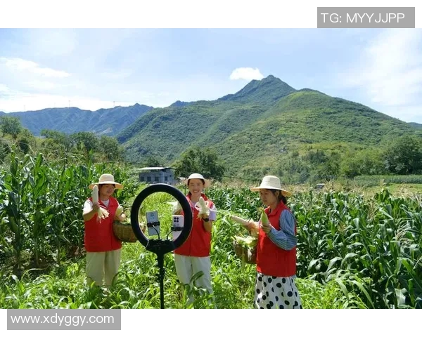 湖北经视直播全新升级带你领略精彩瞬间与独特视角