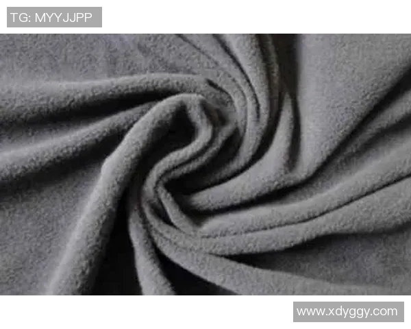 深入了解抓绒材料的特性与应用,提升户外活动的舒适度和保暖性 深入了解抓绒材料的特性与应用,提升户外活动的舒适度和保暖性