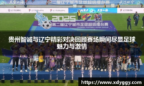 贵州智诚与辽宁精彩对决回顾赛场瞬间尽显足球魅力与激情