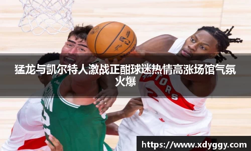 猛龙与凯尔特人激战正酣球迷热情高涨场馆气氛火爆